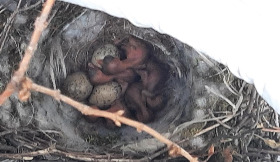 KakaoTalk_20220522_155222758 (2).jpg