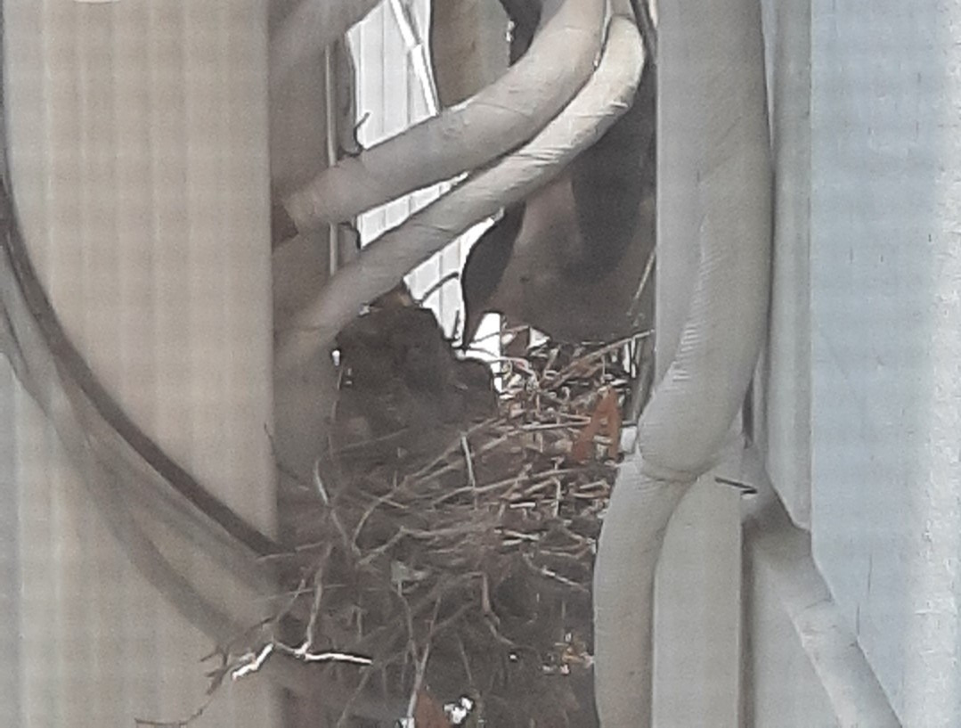 KakaoTalk_20220603_130116413_05 (2).jpg