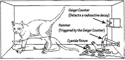 Schrodinger cat in a box.jpg