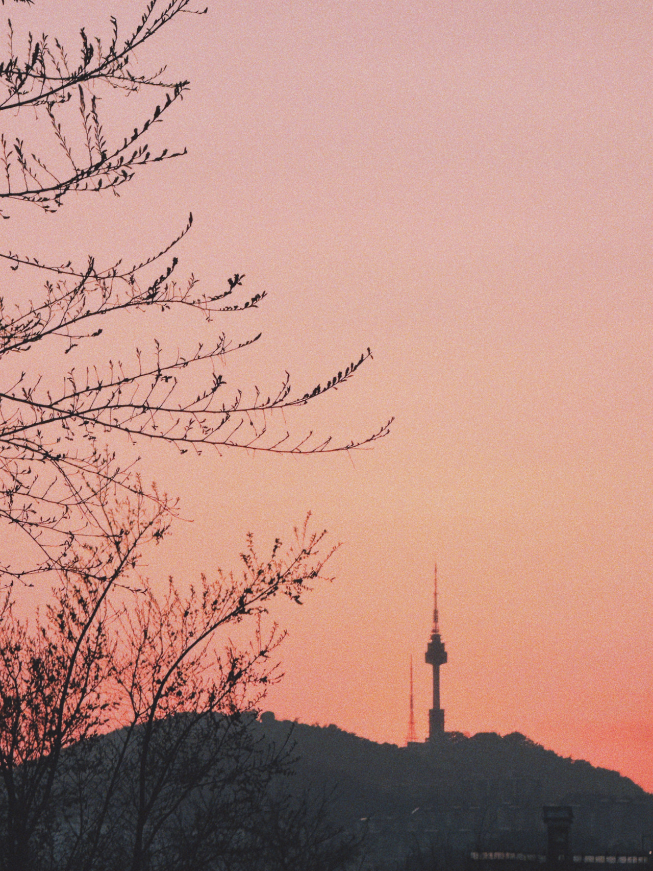 카지노 게임