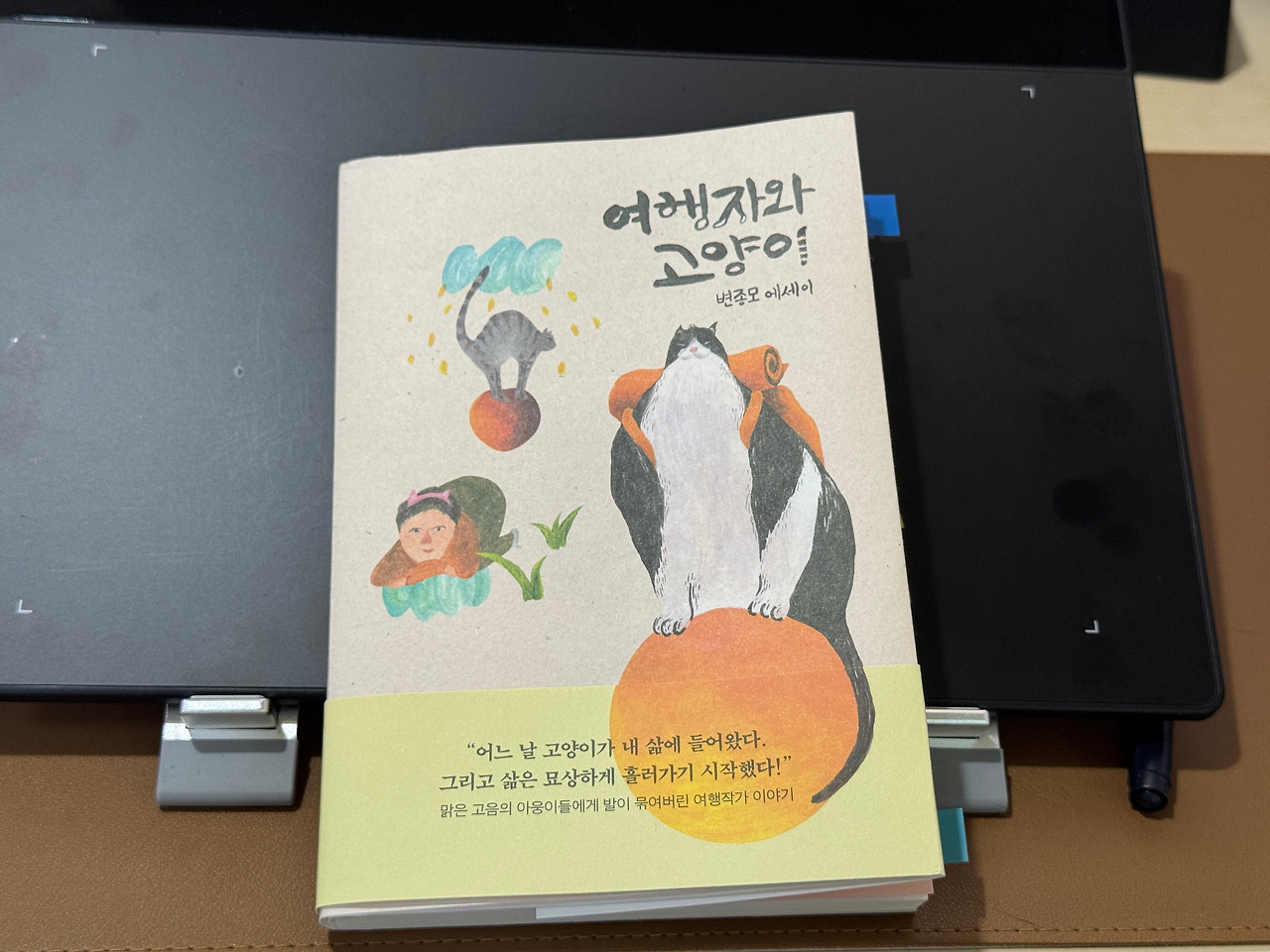 사진 2025. 7. 17. 오전 11 40 10.jpg