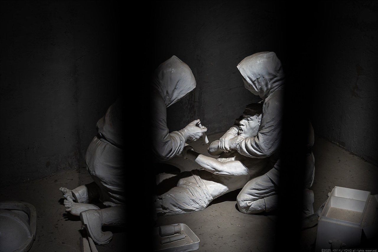 _KKY5508-향상됨-노이즈 감소.jpg