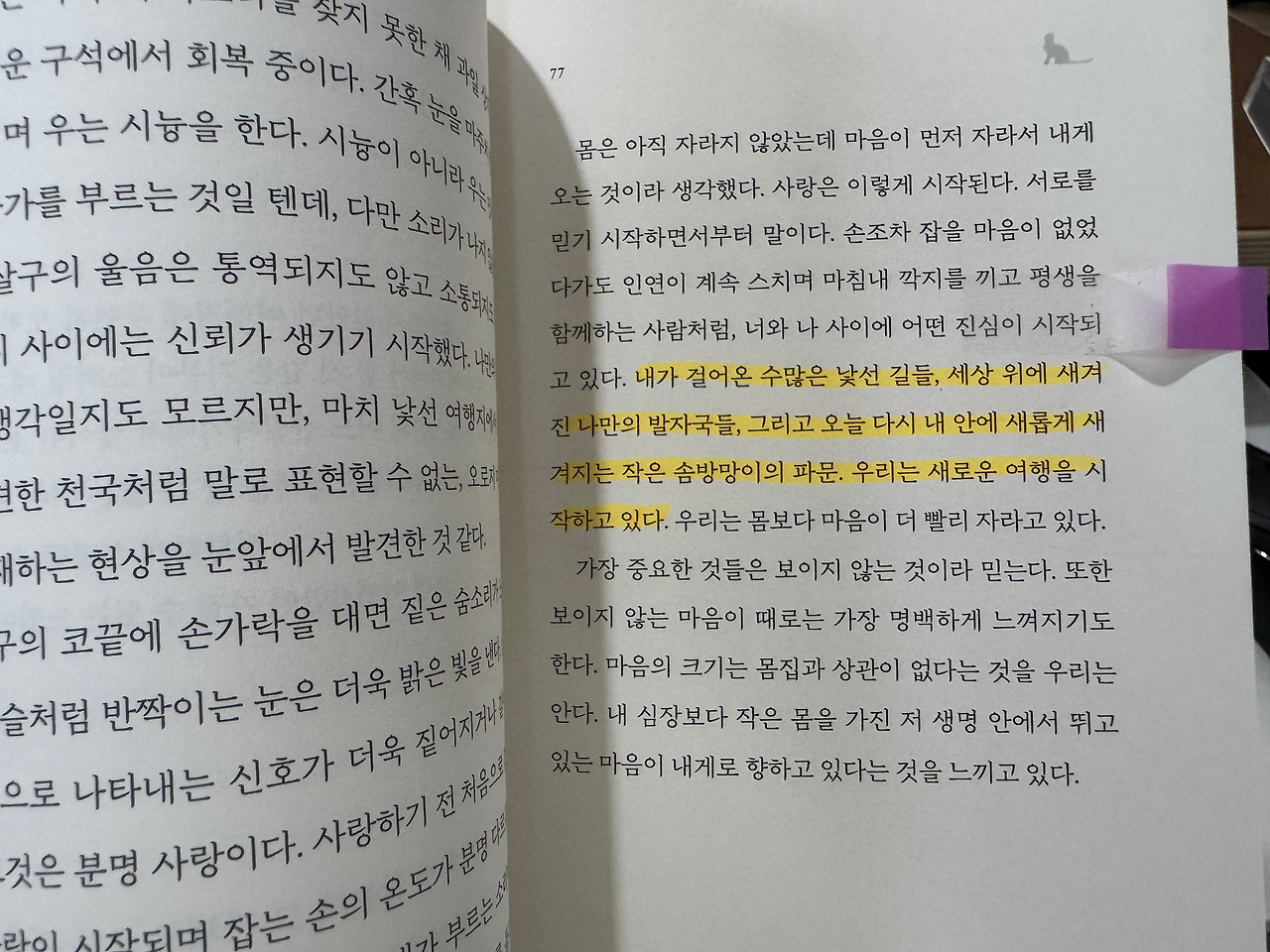 사진 2025. 7. 17. 오전 11 39 21.jpg