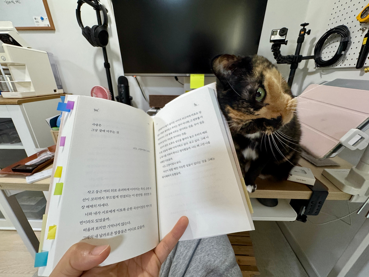 사진 2025. 7. 17. 오전 11 00 17.jpg