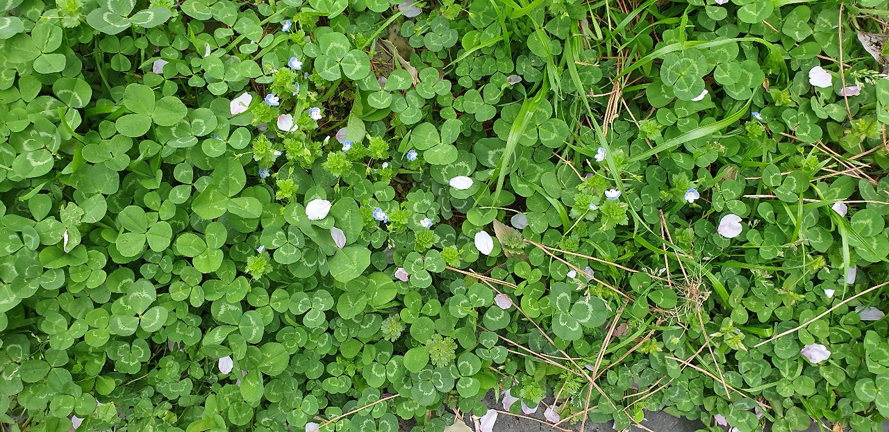 KakaoTalk_20210408_004006240_05 (1).jpg