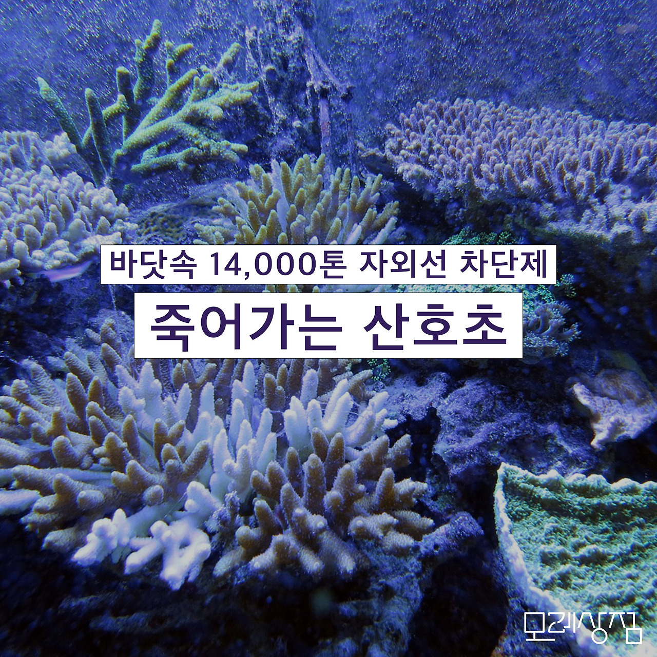 모레의제안_자외선차단제.jpg