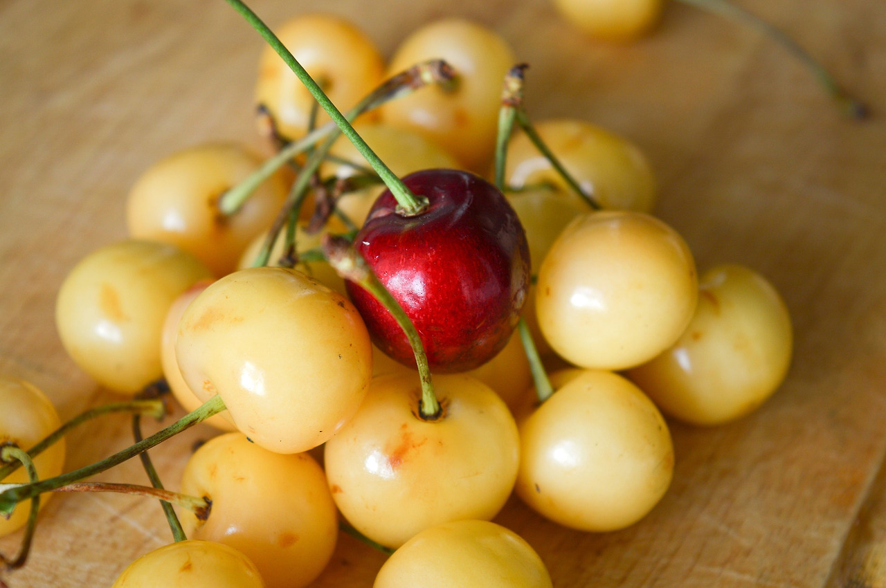 cherry-1484247_1920.jpg