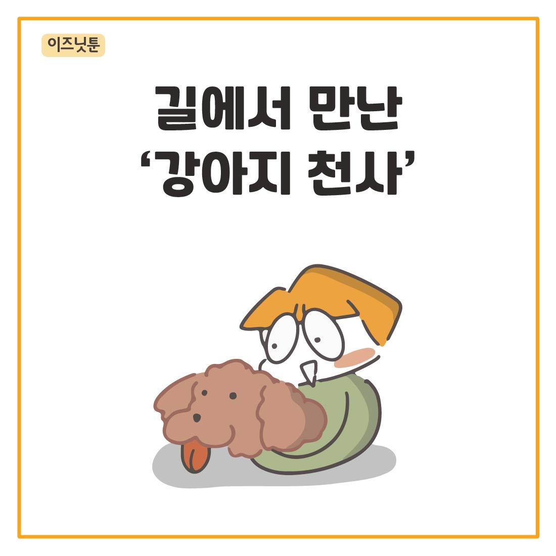 강아지-73.jpg