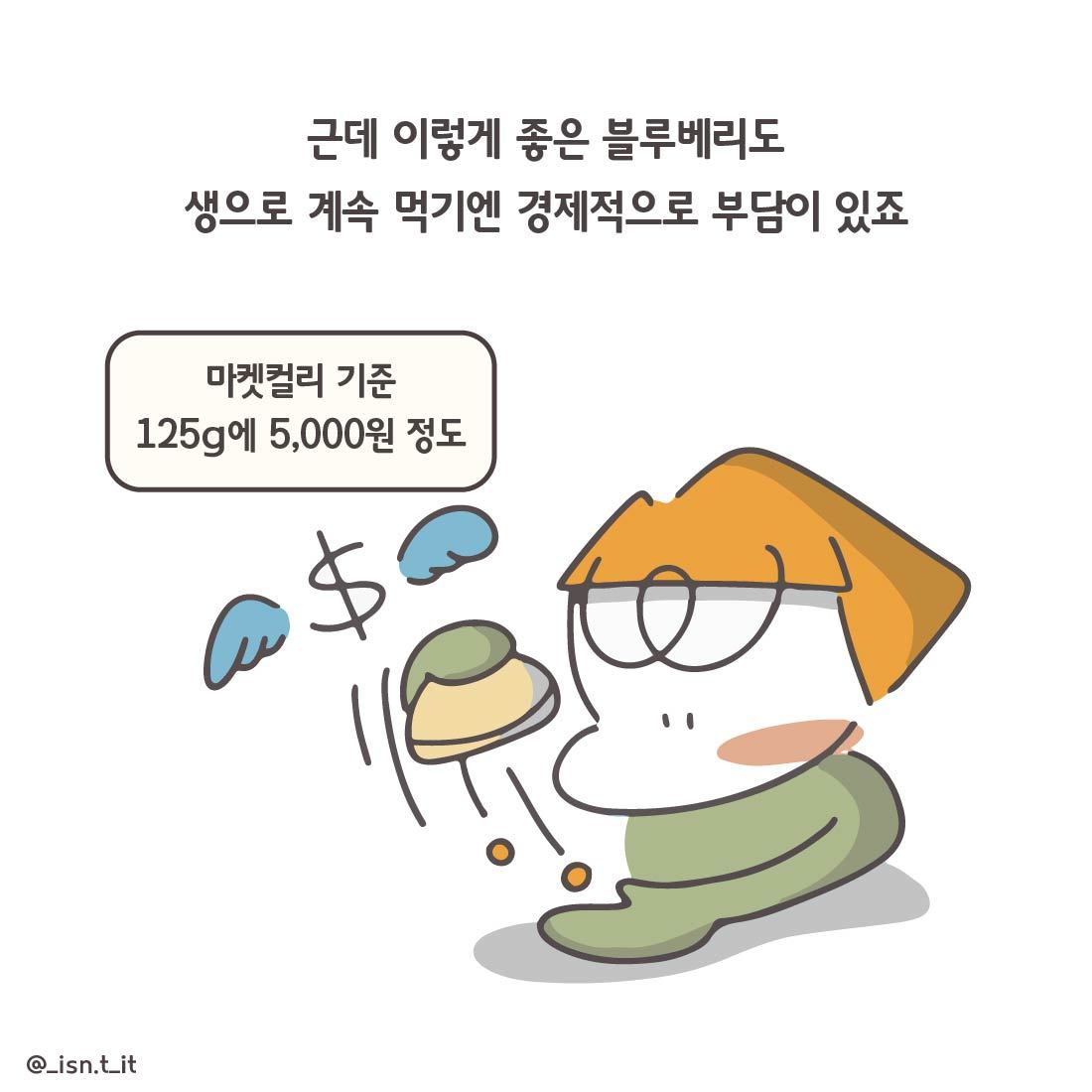 블루베리-58.jpg