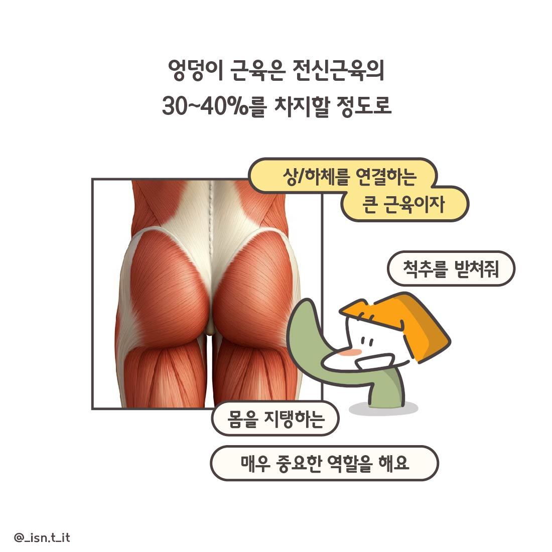 힙 어브덕션-04.jpg