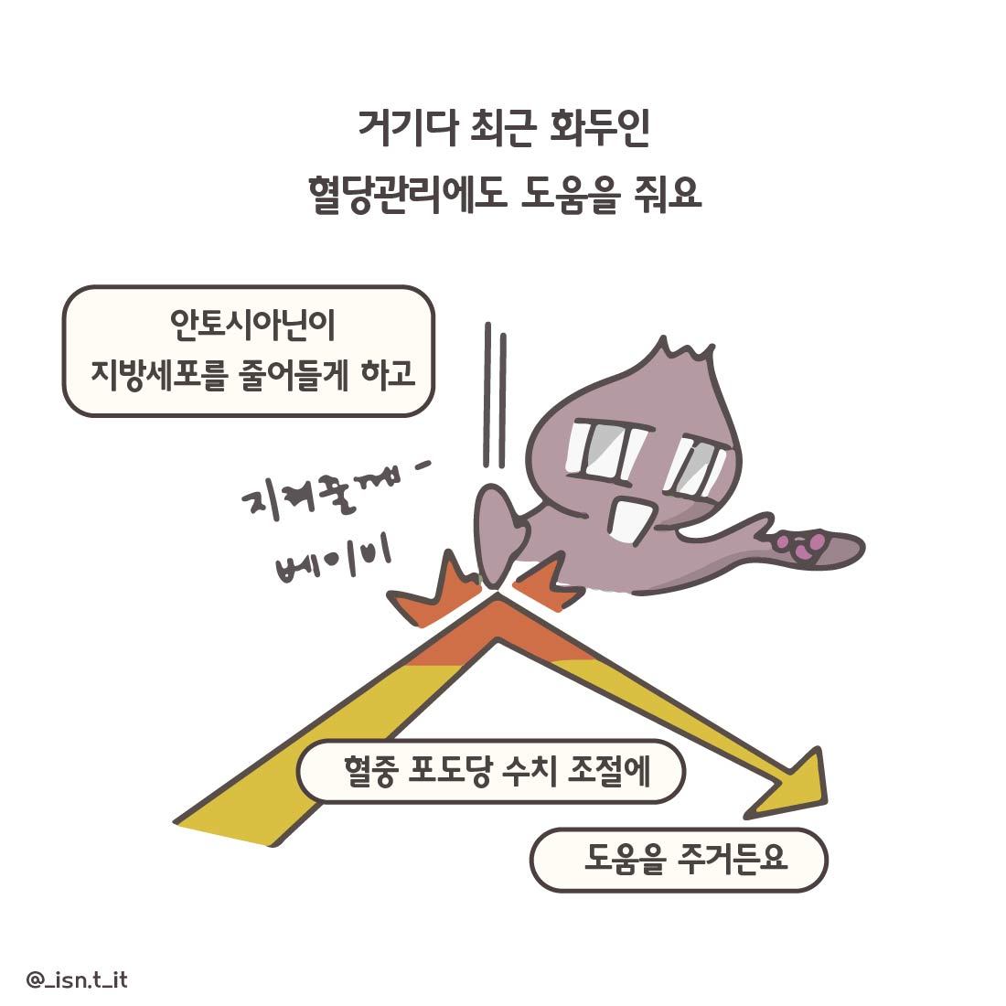 블루베리-57.jpg