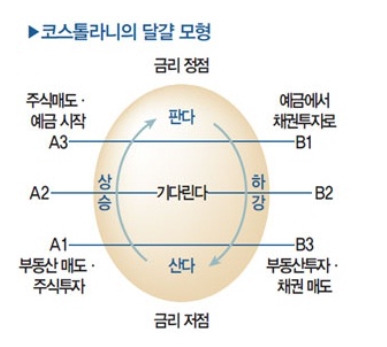 코스톨라니의 달걀 모형.jpg