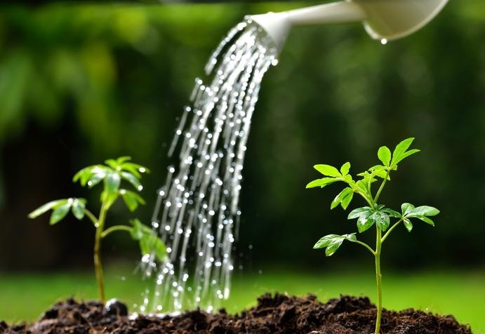 watering-gardens.jpg