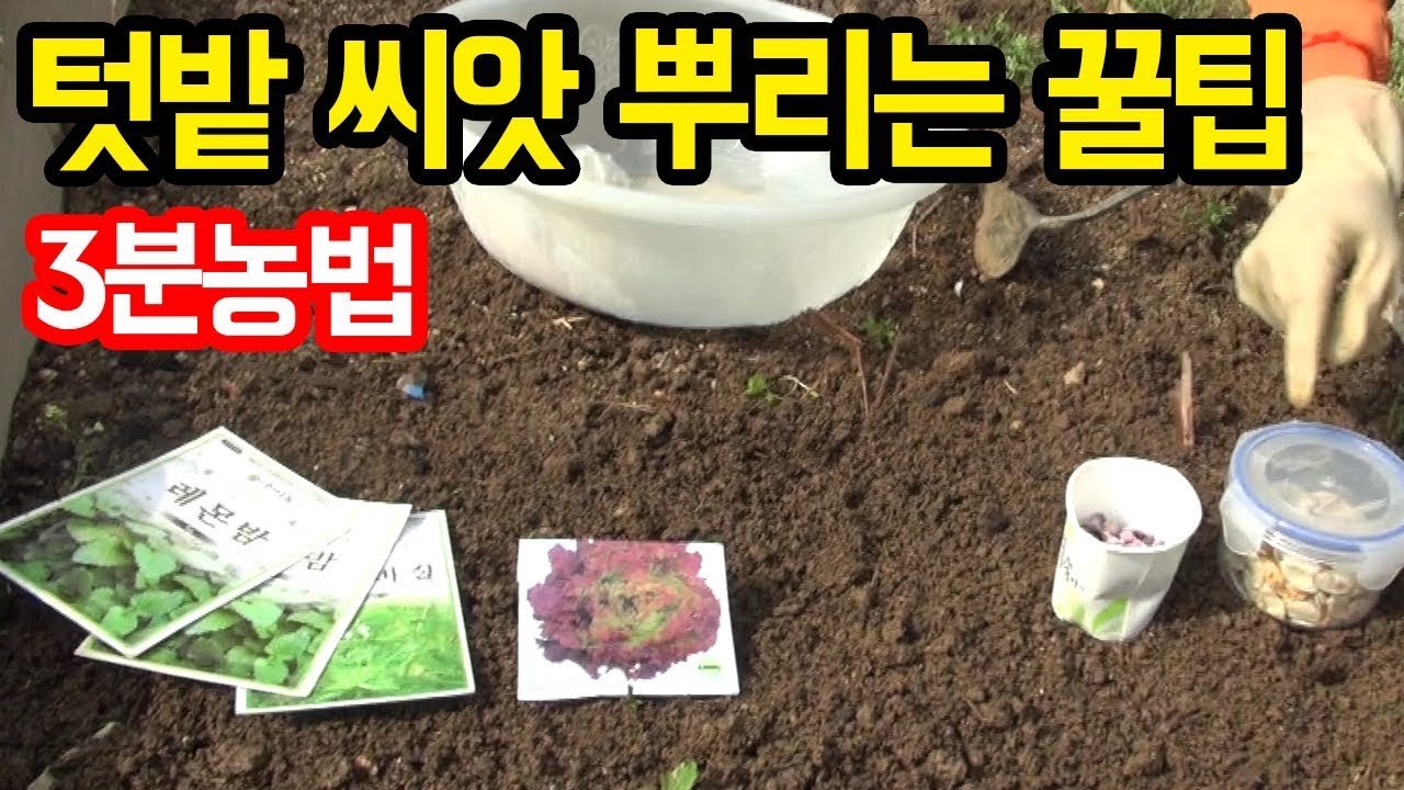 maxresdefault (3).jpg