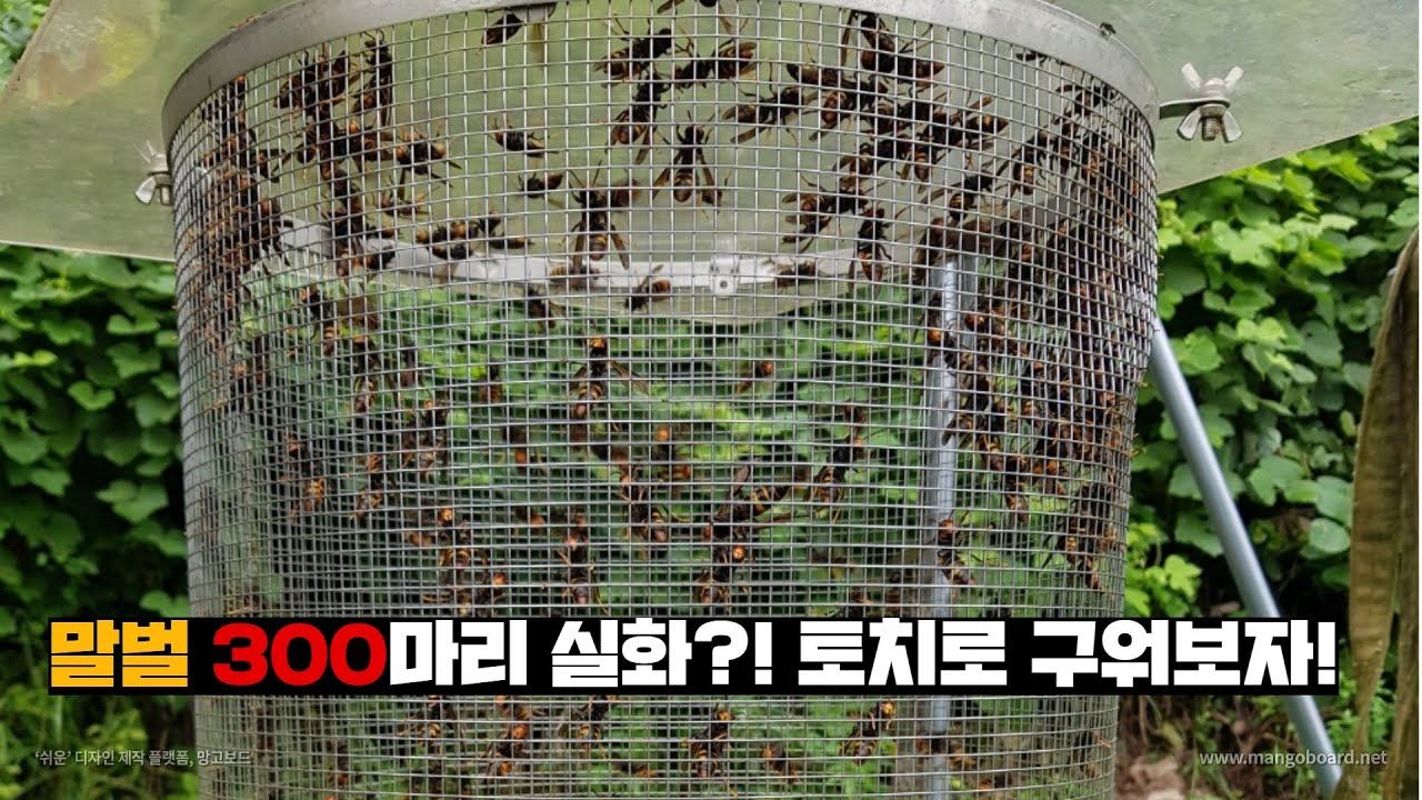 maxresdefault (1).jpg