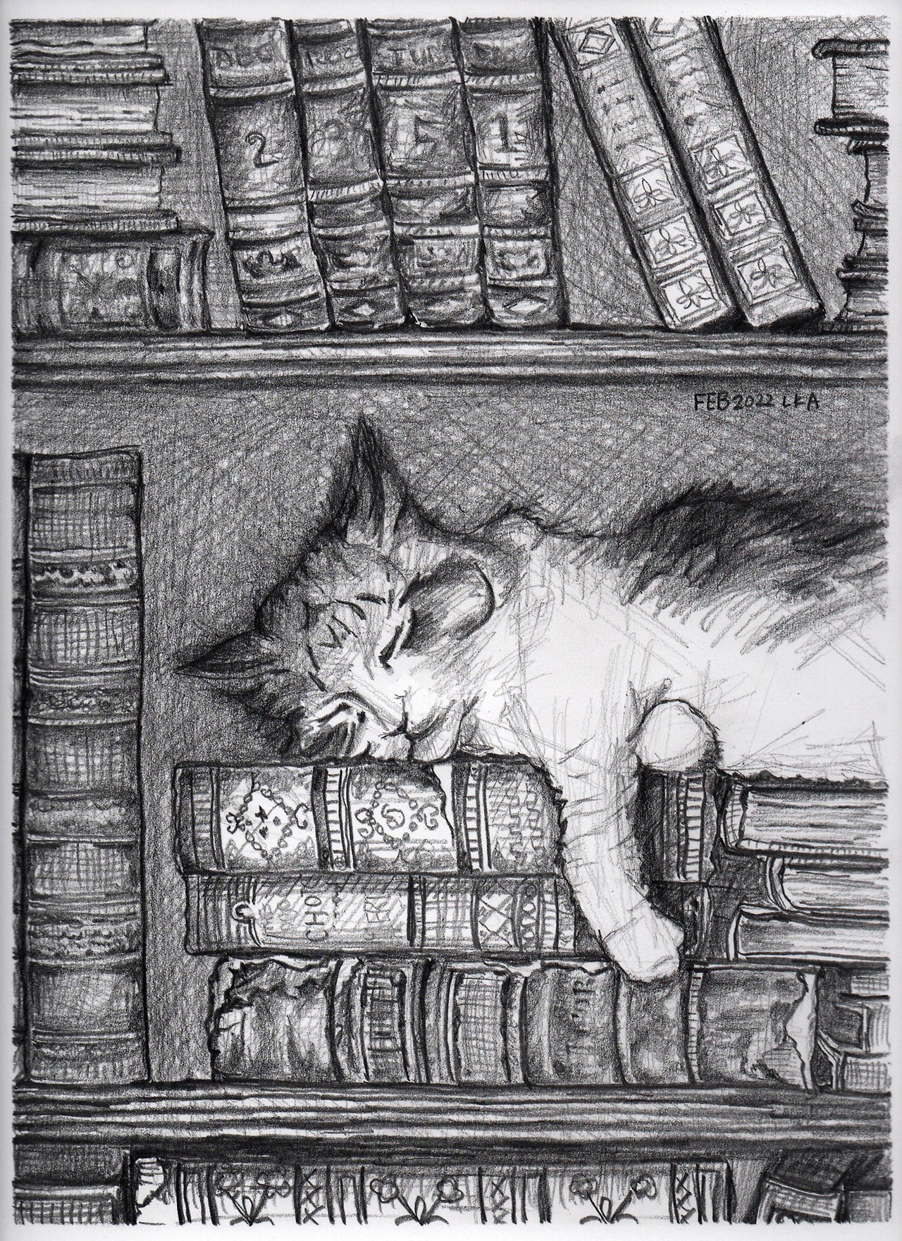 bookcatgra.jpg