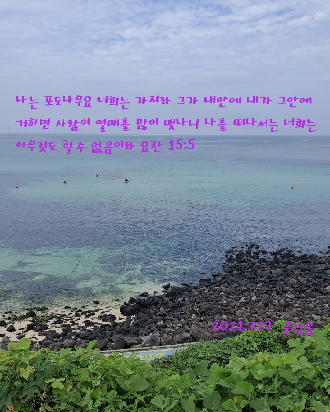 나는 포도나무요.jpg