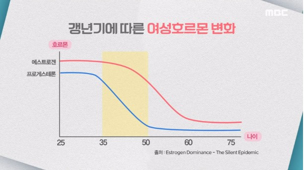화면 캡처 2024-11-30 154419.jpg
