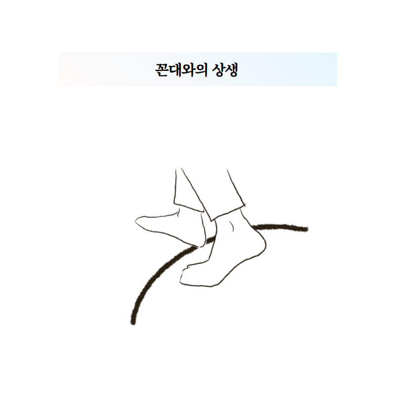 꼰대와의 상생.jpg