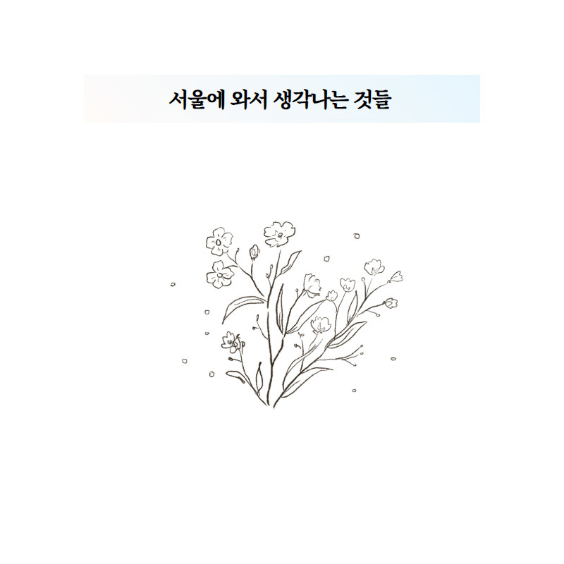 서울에 와서 생각나는 것들.jpg