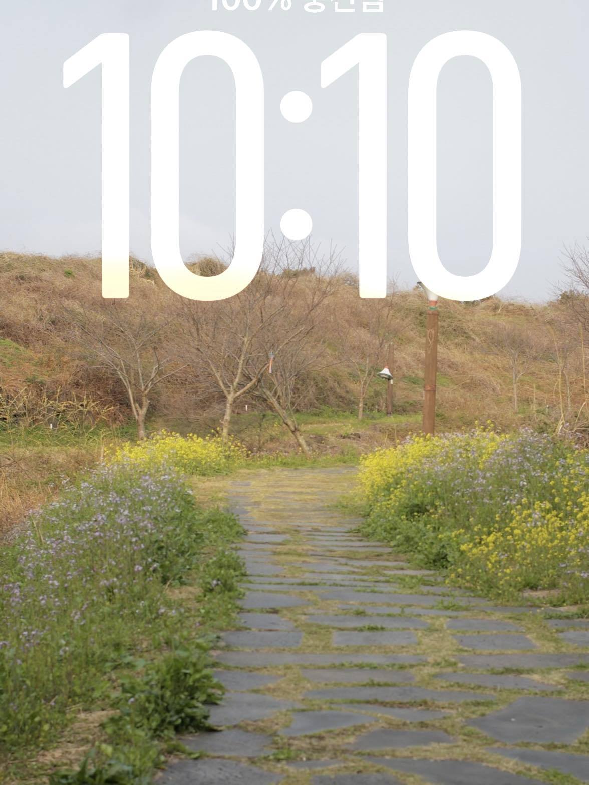 처음 가는 길-20251222.jpg