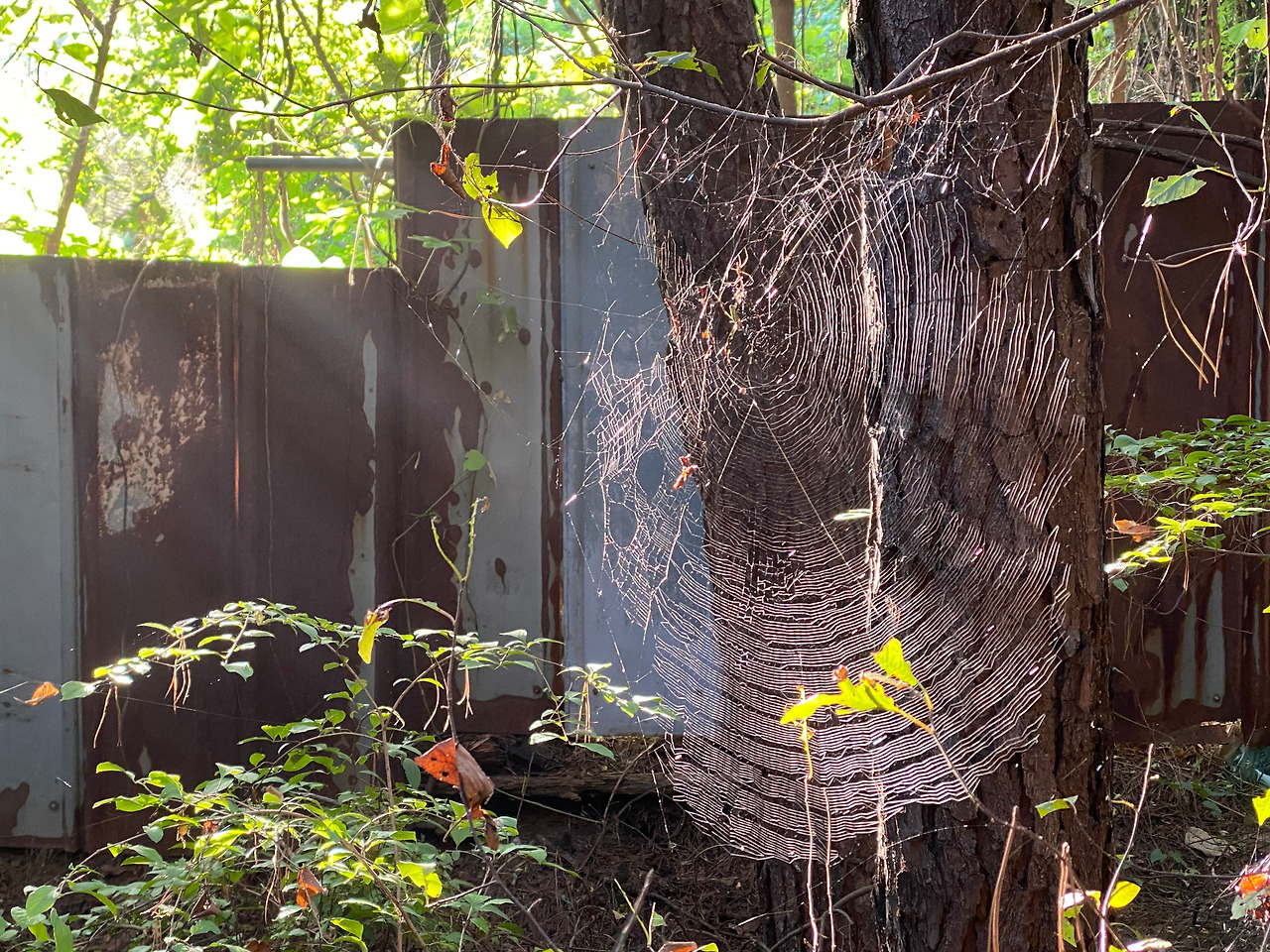 거미줄-연결과 통합.jpg