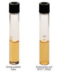 다운로드 (1).jpg