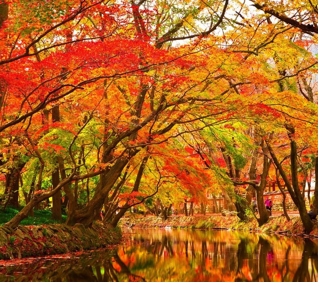 화면 캡처 2024-09-15 001903.jpg