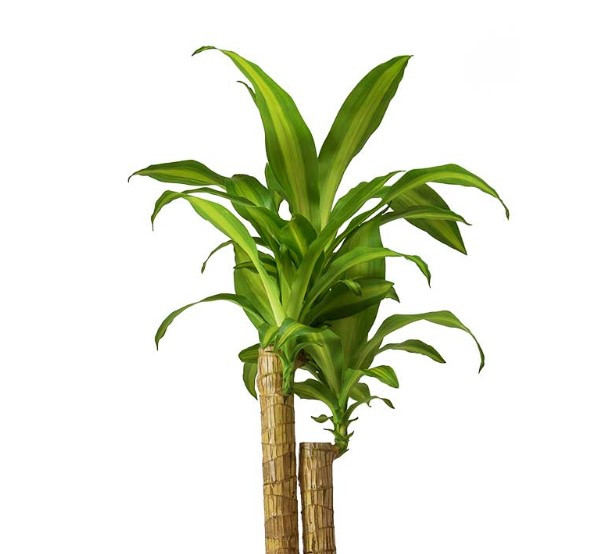 화면 캡처 2025-02-07 203855.jpg