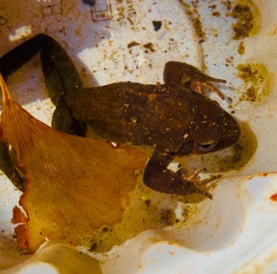 화면 캡처 2025-03-30 110240.jpg