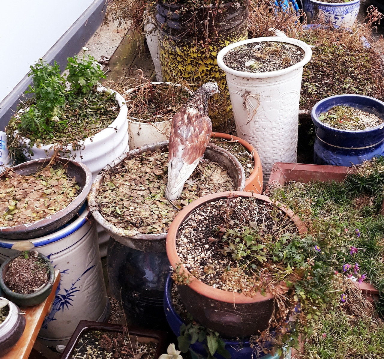 20211225_191706 (1).jpg