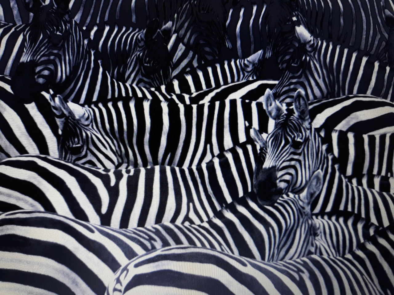 20230325_192625 (1).jpg