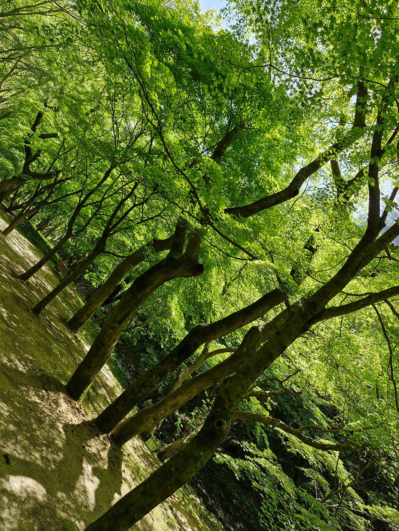 20250504_103931 (1).jpg