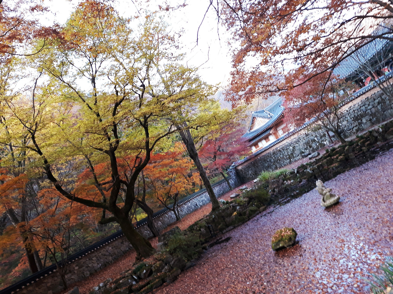 20211111_095604 (1).jpg