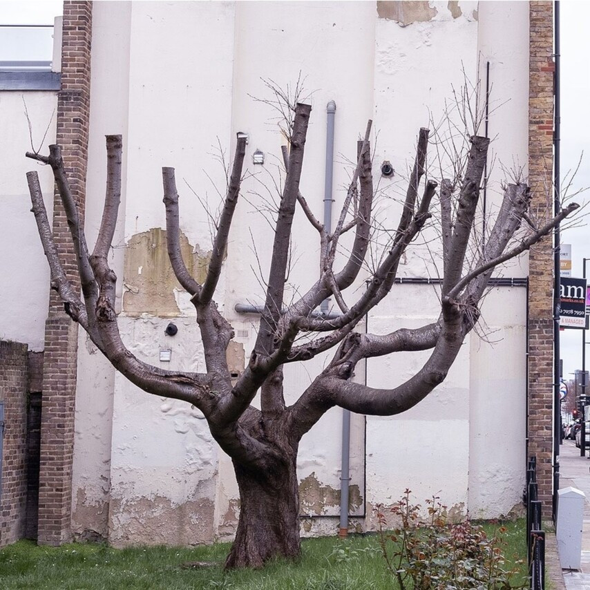 뱅크시 작픔2.jpg