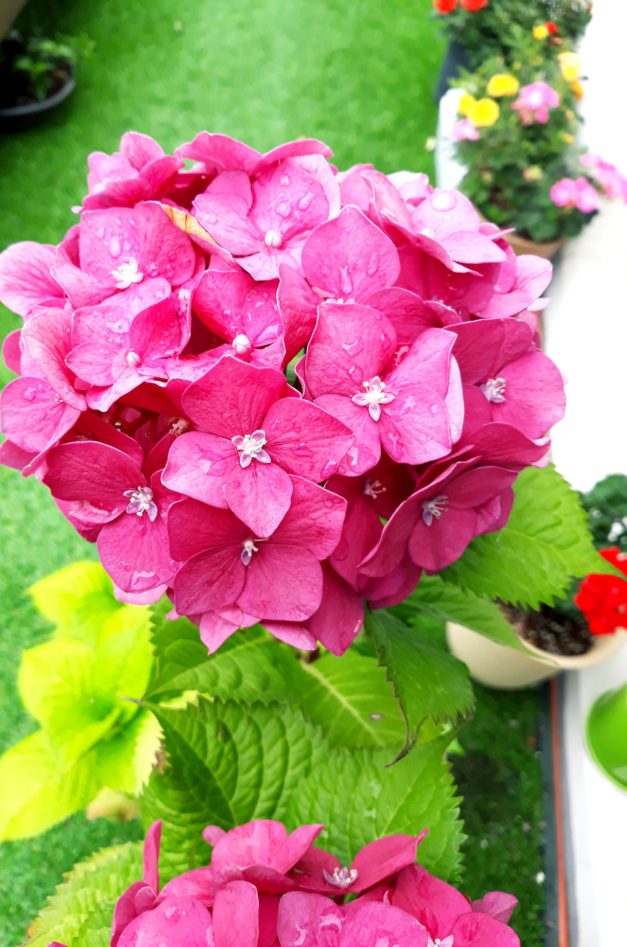 20220624_094732 (1).jpg