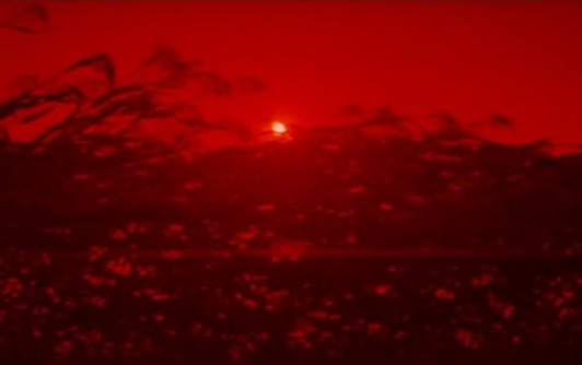 붉은 수수밭5.jpg