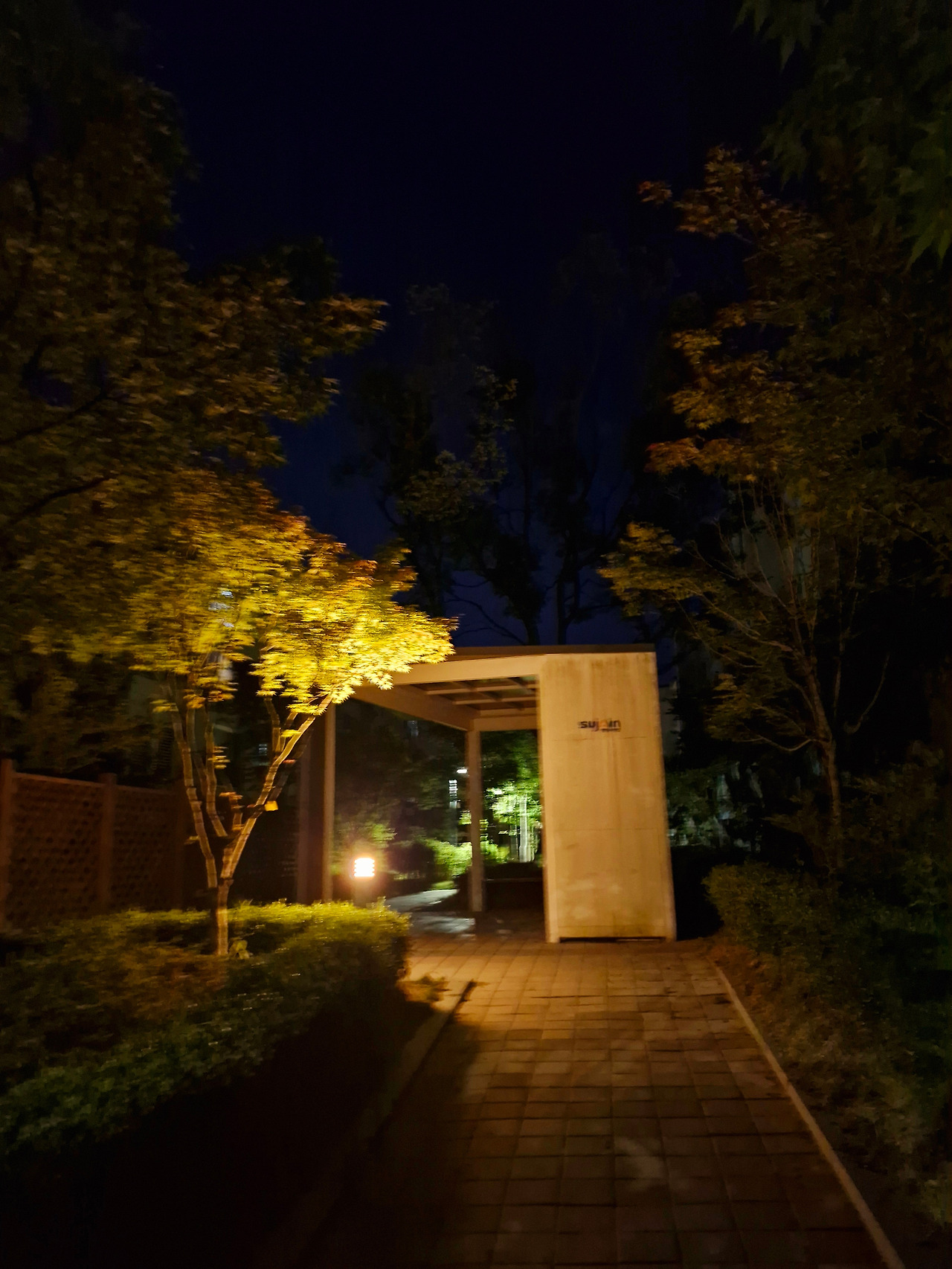 20250629_220822 (1).jpg