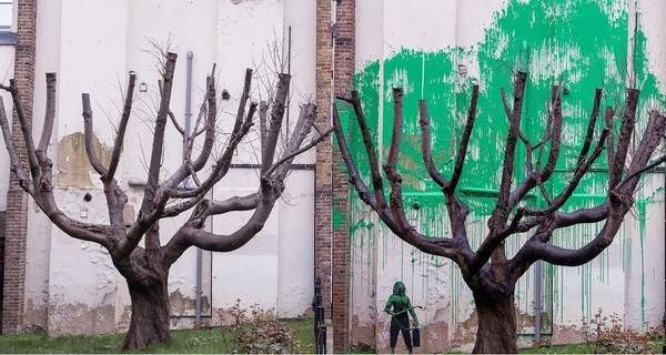 뱅크시 버드나무2.jpg