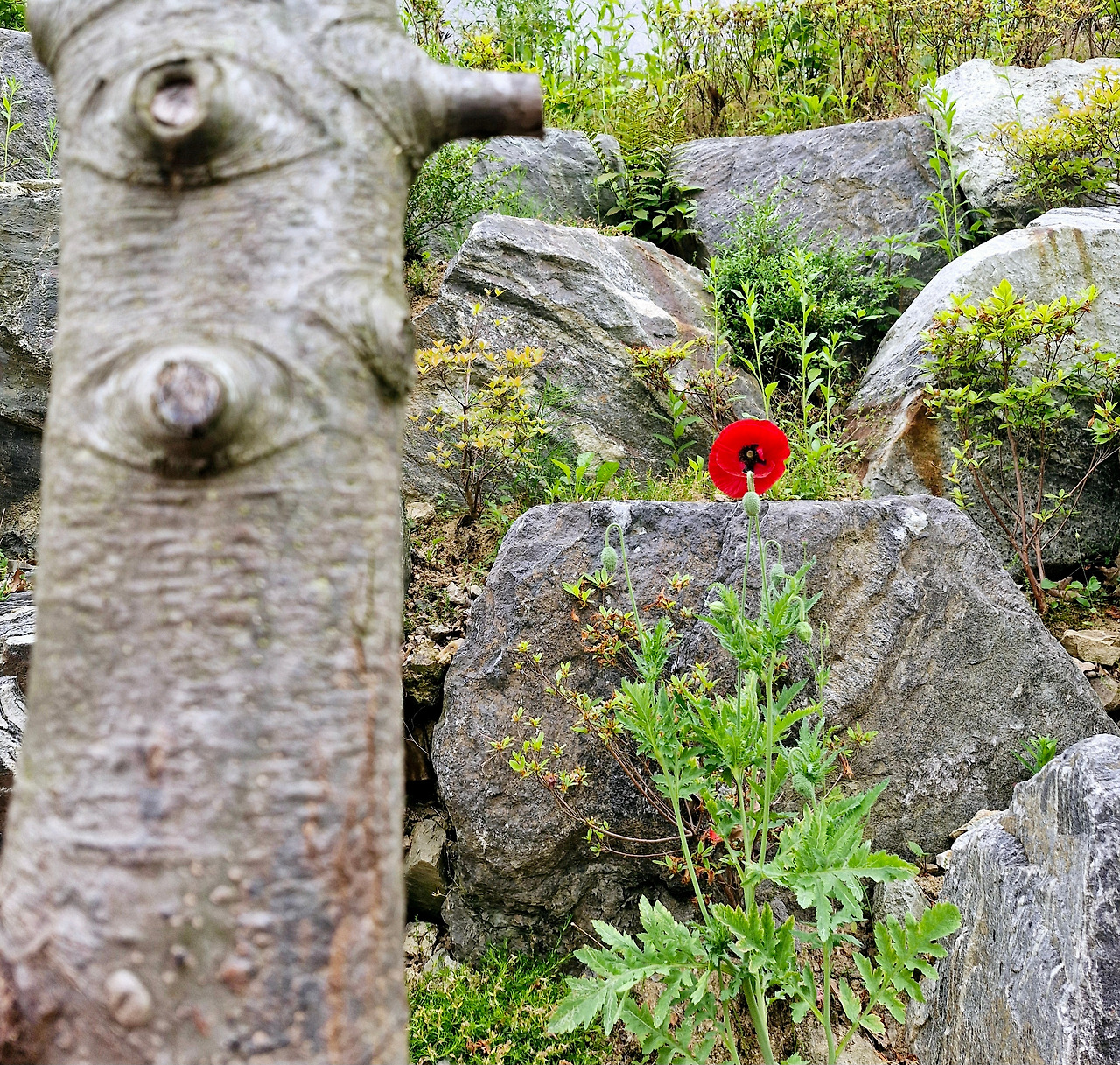 20250602_090417 (1).jpg