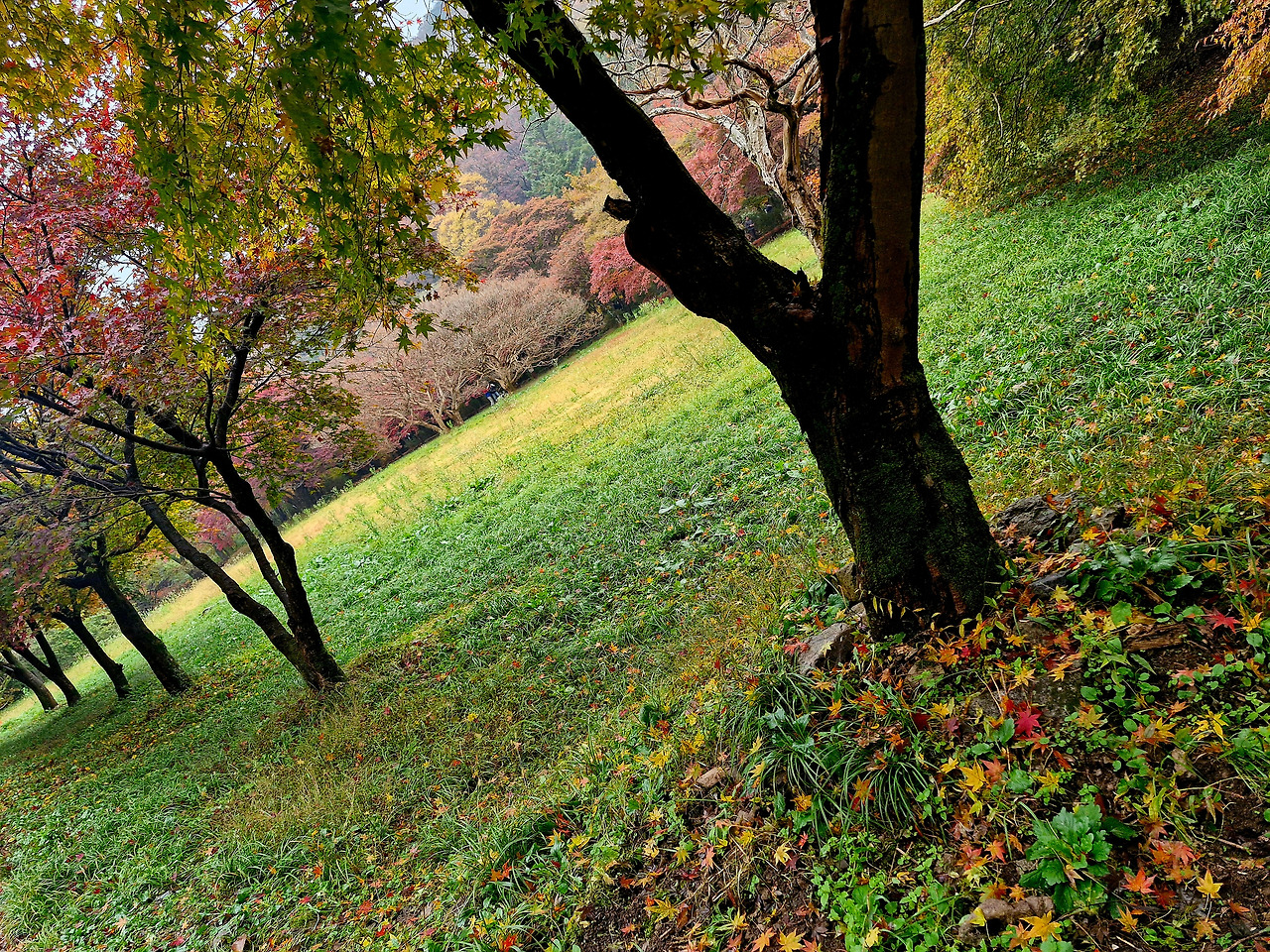 20251109_080933(1) (1).jpg