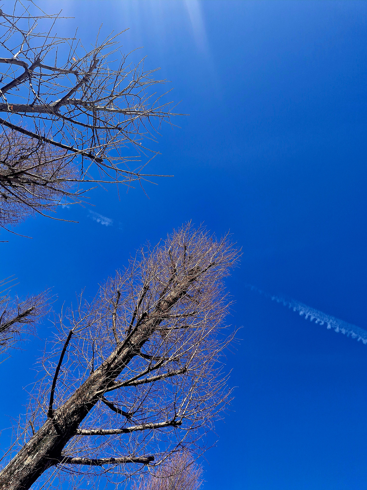 20251222_113231 (1).jpg