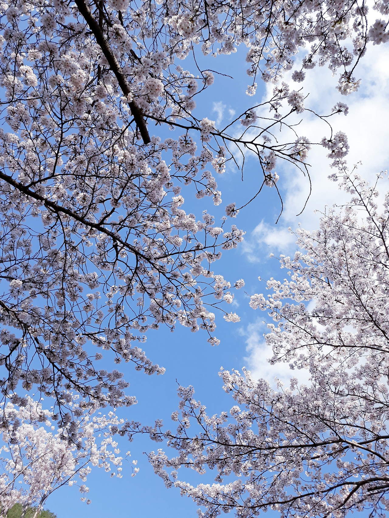 20220403_151737 (1).jpg