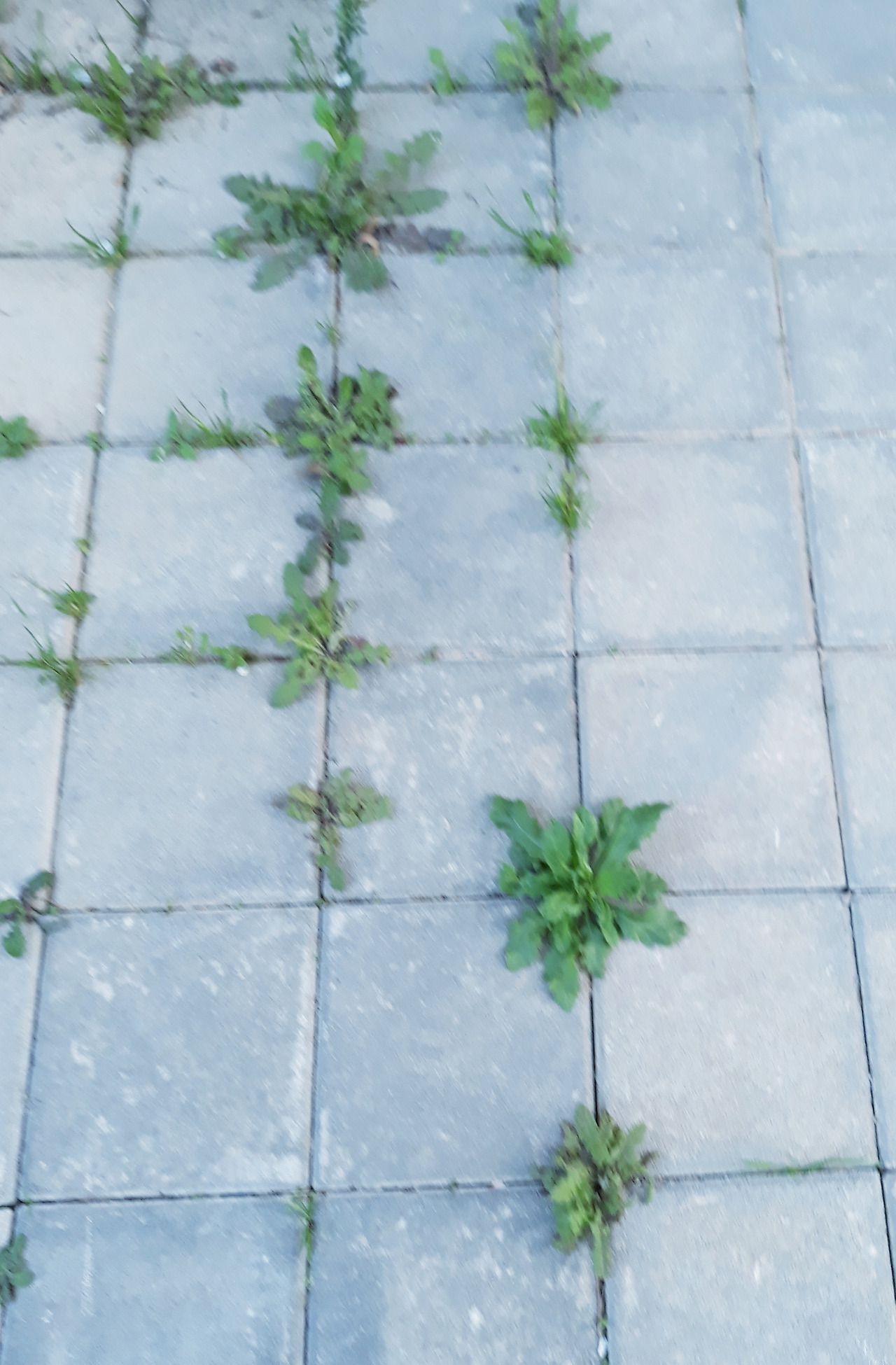 20230416_225701 (1).jpg