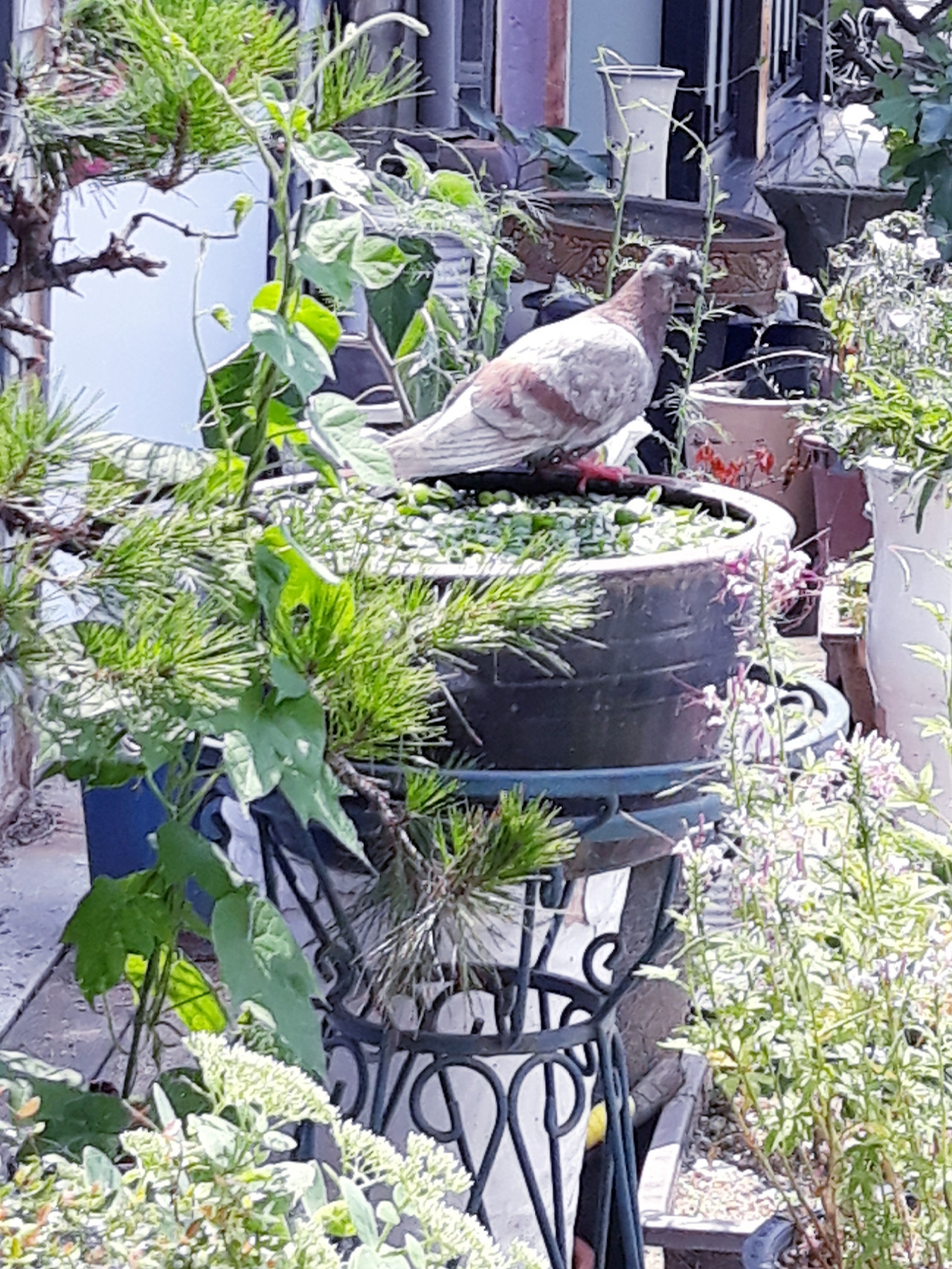 20220702_203732 (1).jpg