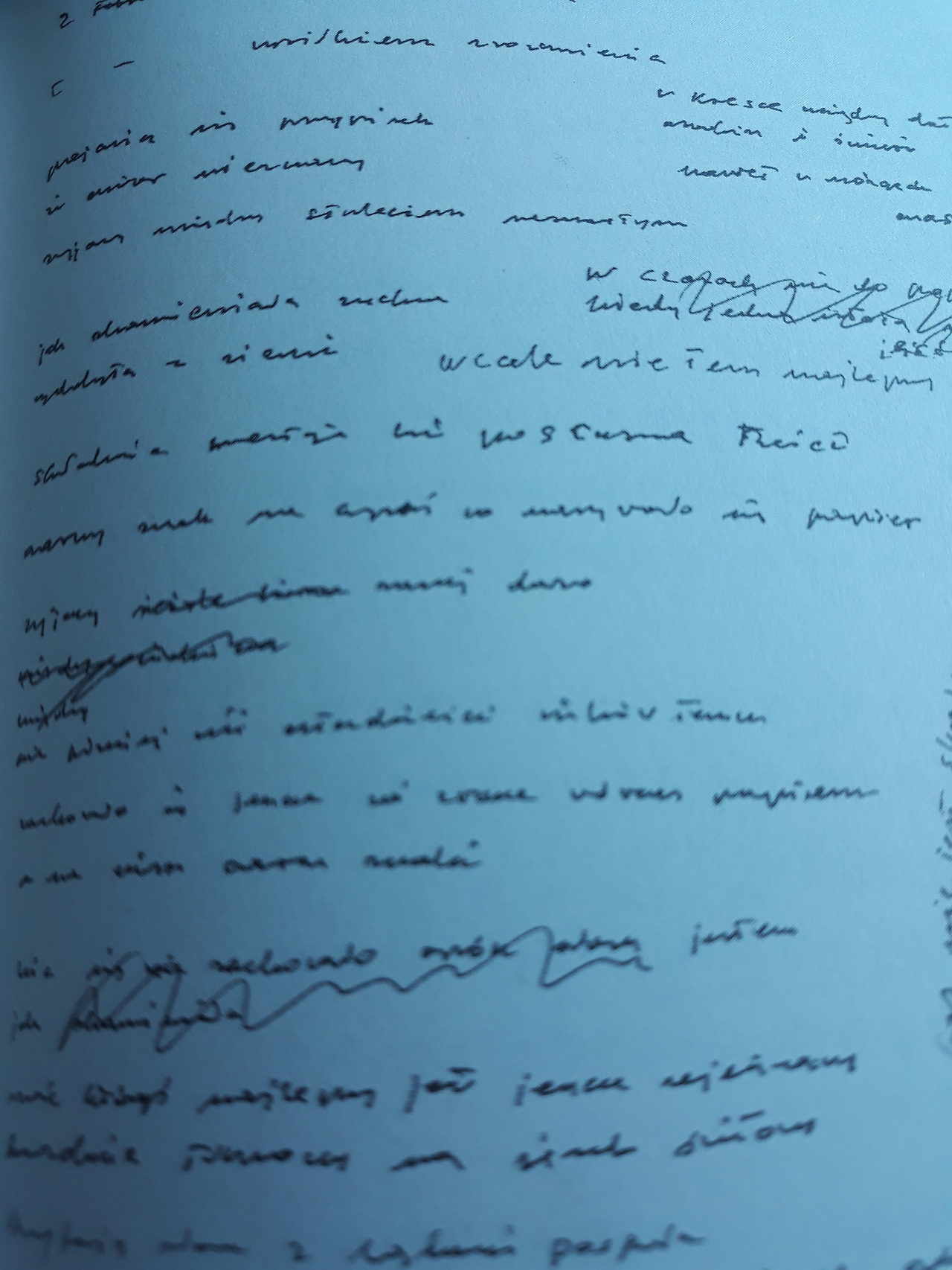 비스와봐 자필.jpg