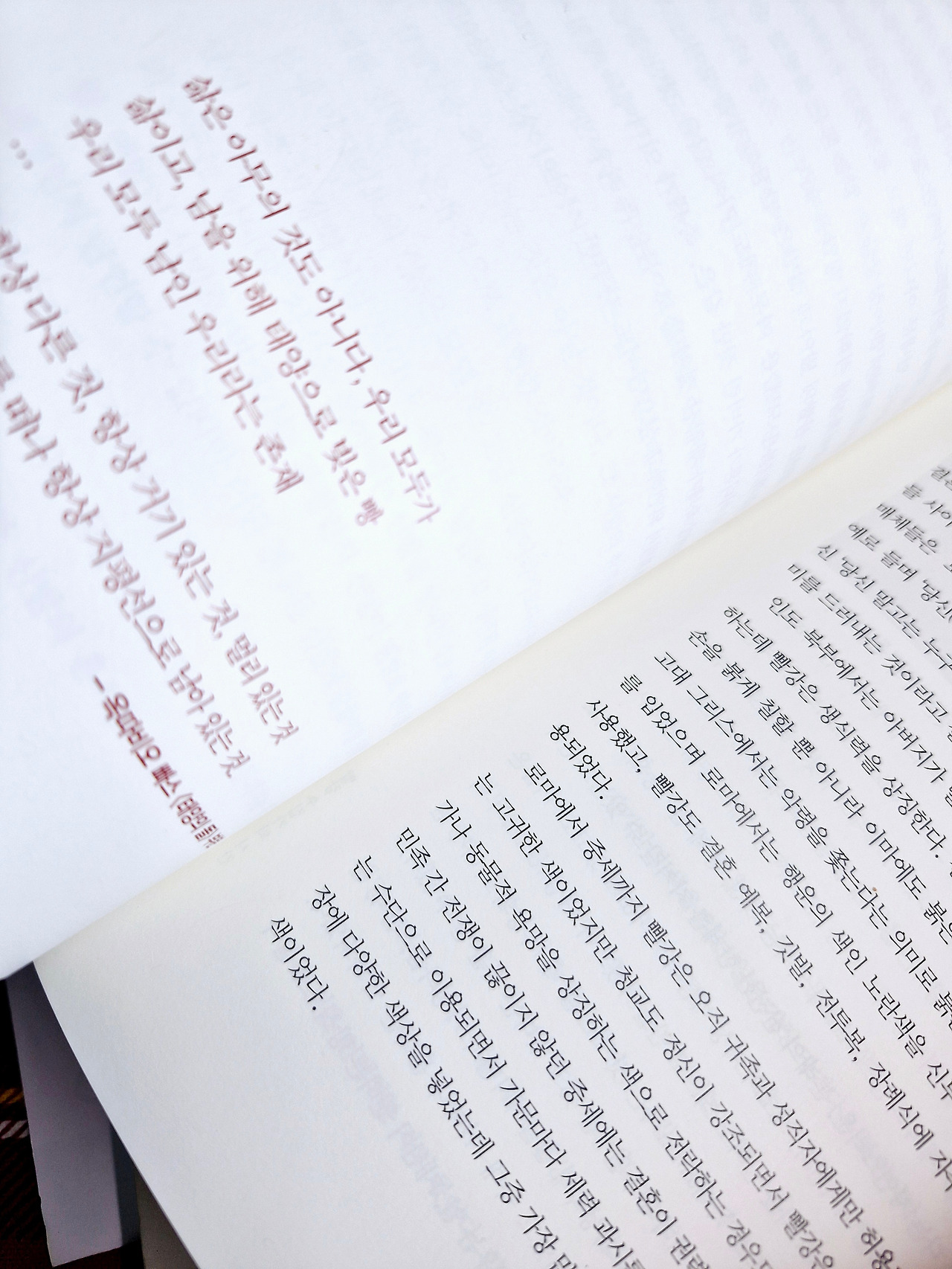 20250210_140127 (1).jpg