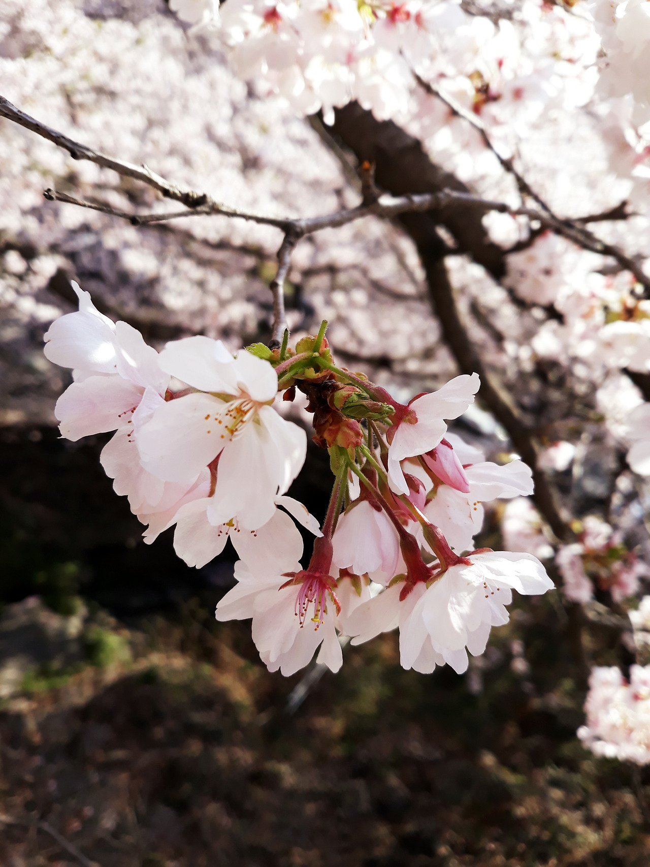 20220402_085839 (1).jpg