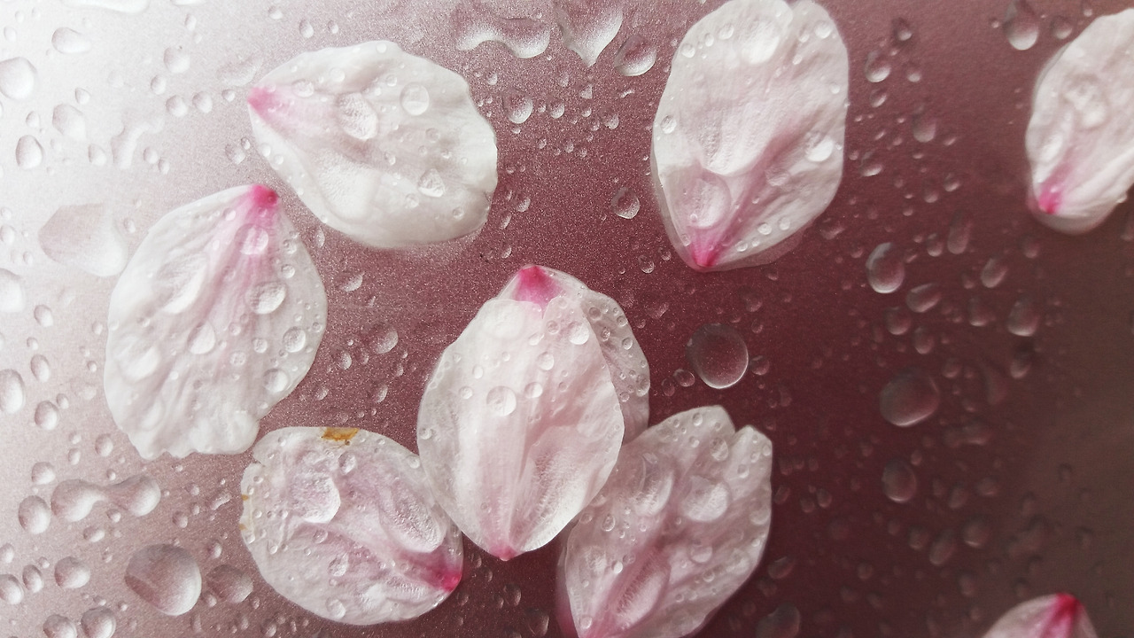 20210821_105013 (1).jpg