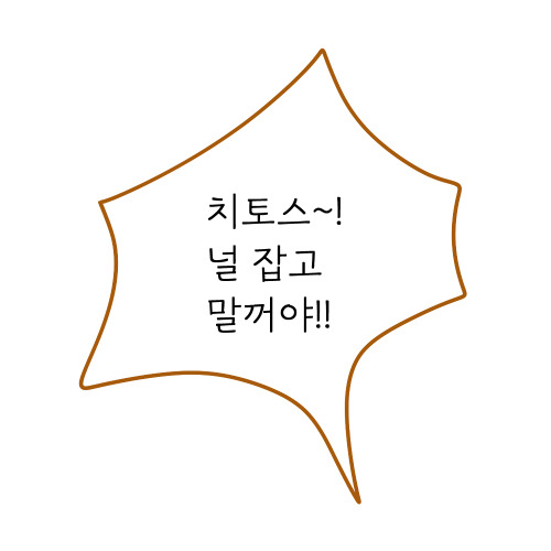 여름튜브11_12.jpg